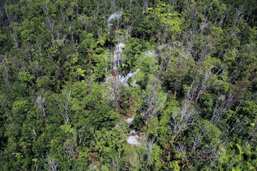 Hawaii Lava Flow Update for Friday, August 29