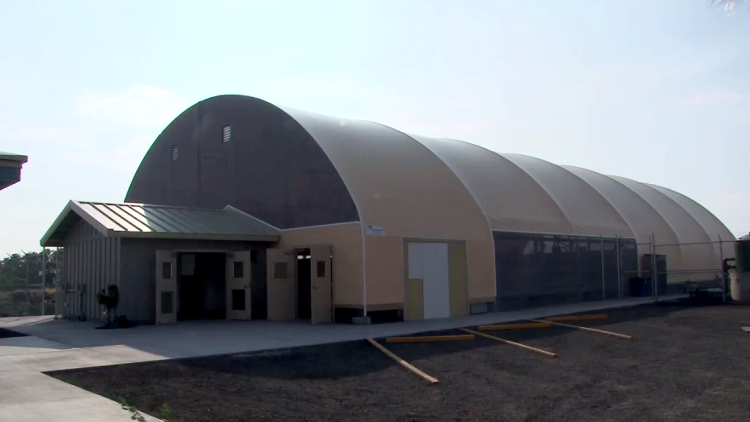 VIDEO: Hawaiian Monk Seals Get New Hospital in Kona