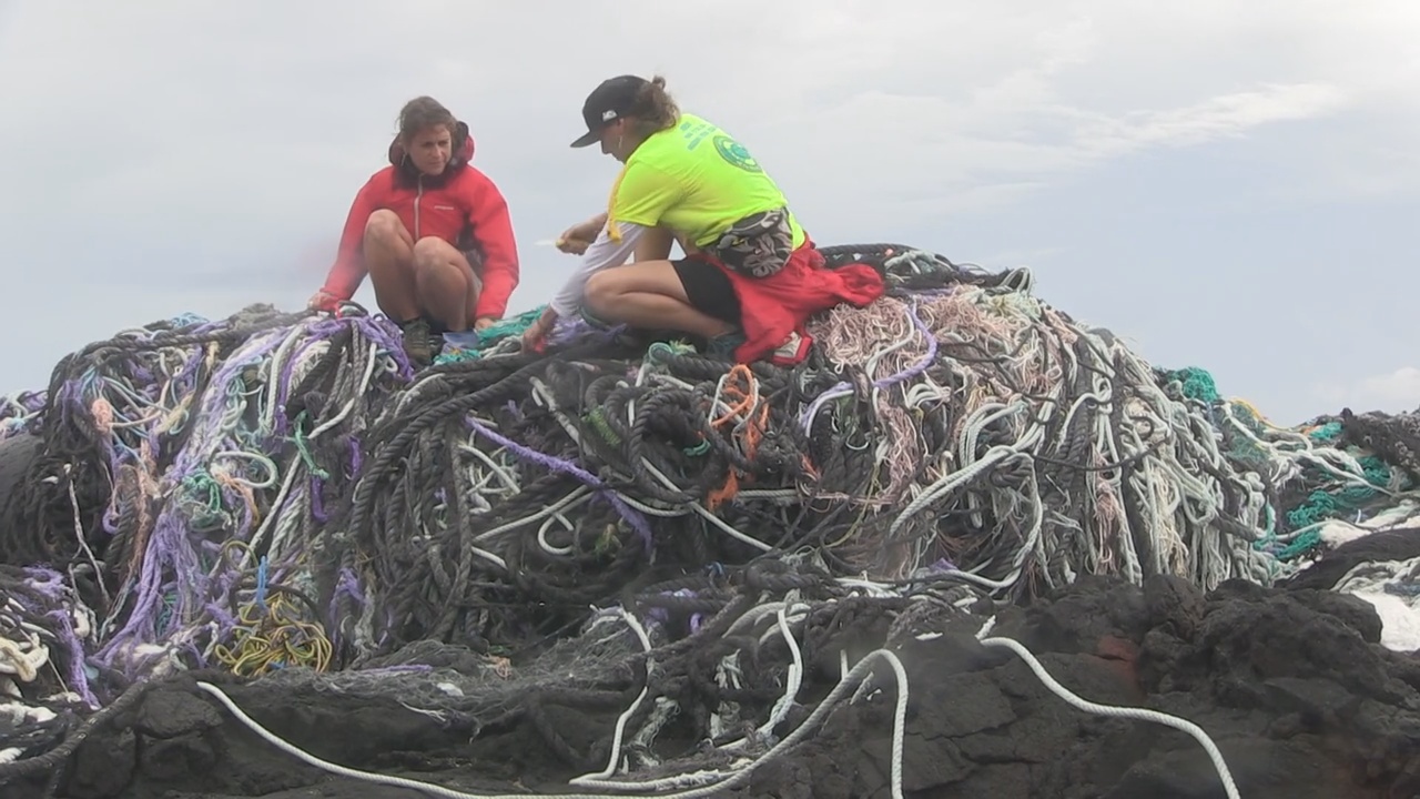 Washed ashore: Massive tangle of ropes and nets show up on beach, News