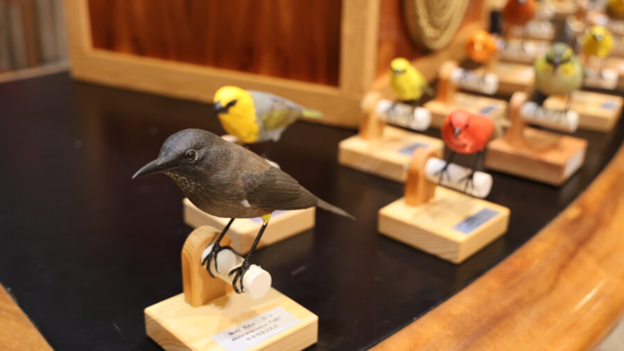 Hawai I Declares 2024 The Year Of The Forest Birds   2024 01 13 Birds FEATURE 900x506 