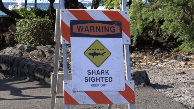 Shark Bite Reported Off Hawaiʻi Island’s Kohala Coast