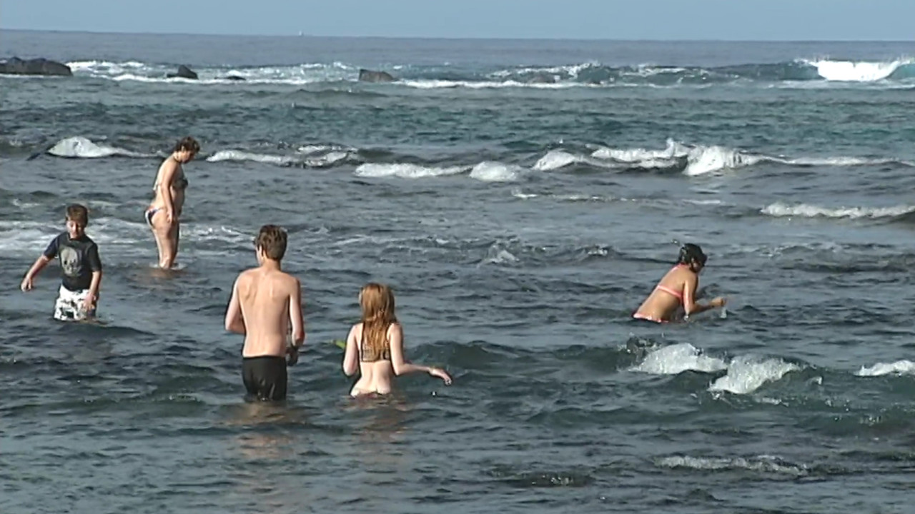 Researchers release green dye near Kahaluʻu Beach Park