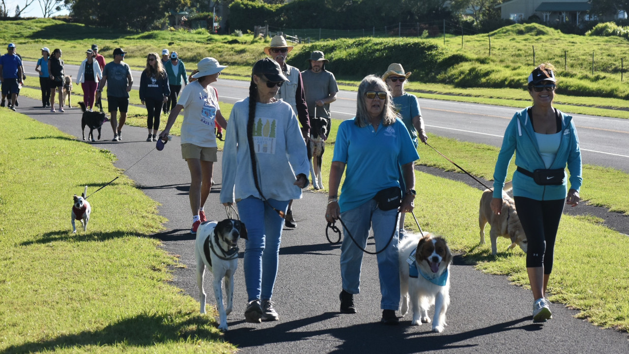 Waimea Joins World’s Largest Pat Walk