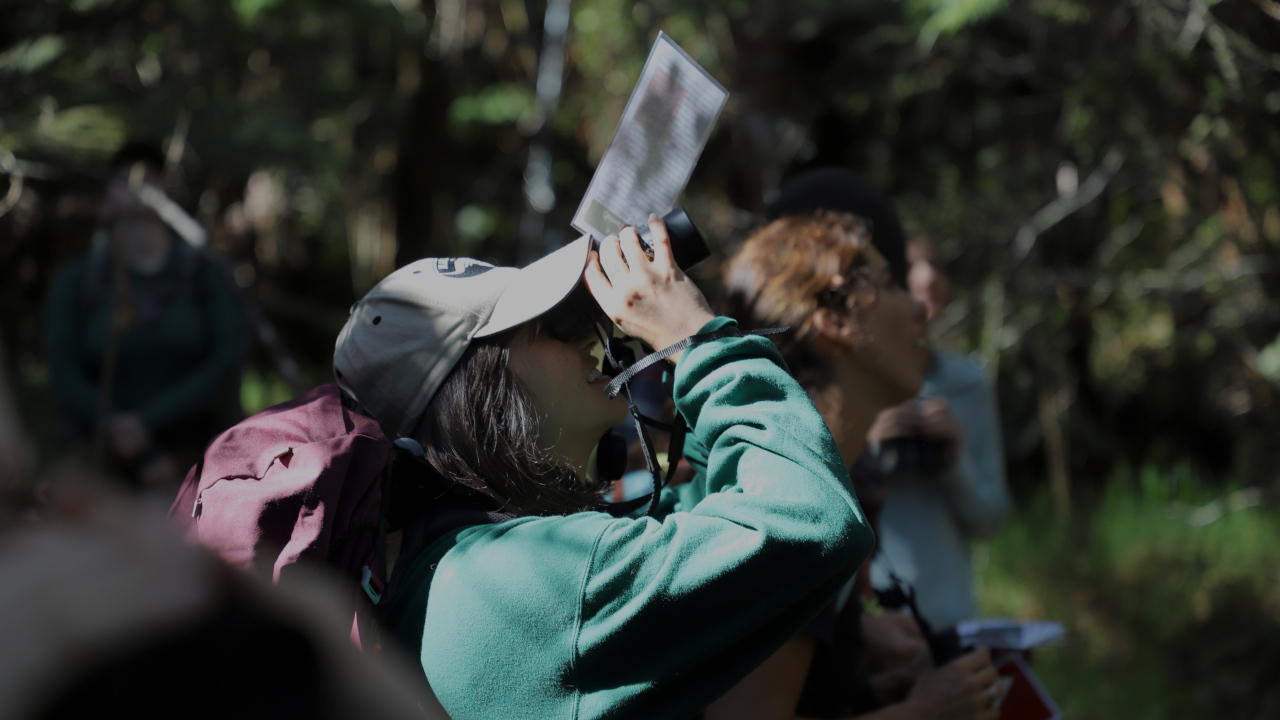 Christmas Bird Count Held At Puʻu Makaʻala